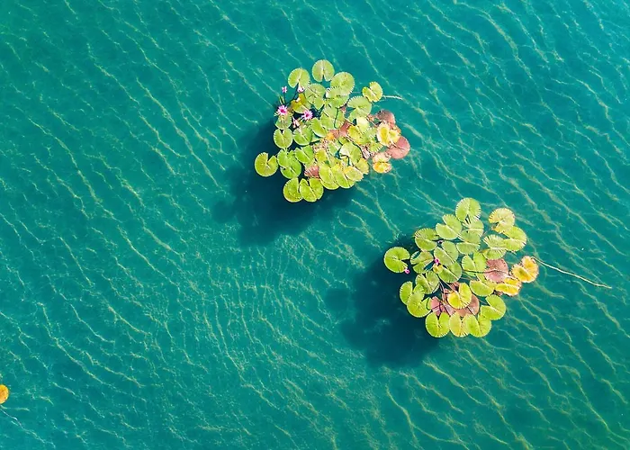 Hunguest Panorama ホテル ヘーヴィーズ